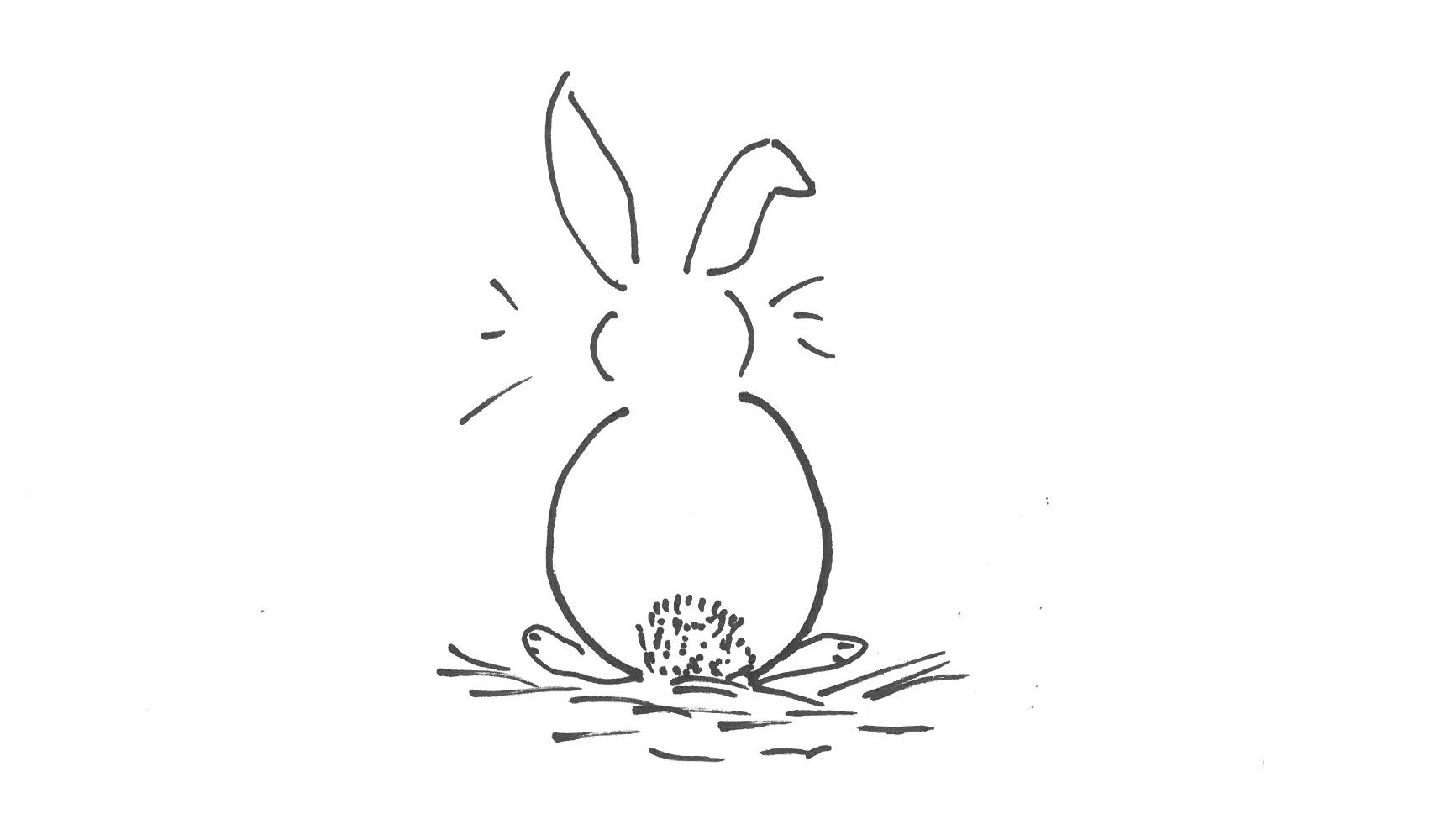 Hase